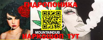 apvp Партизанск