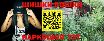 apvp Партизанск